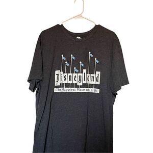 Bella Canvas Womens Gray Disneyland Graphic Tee Top Size 2XL